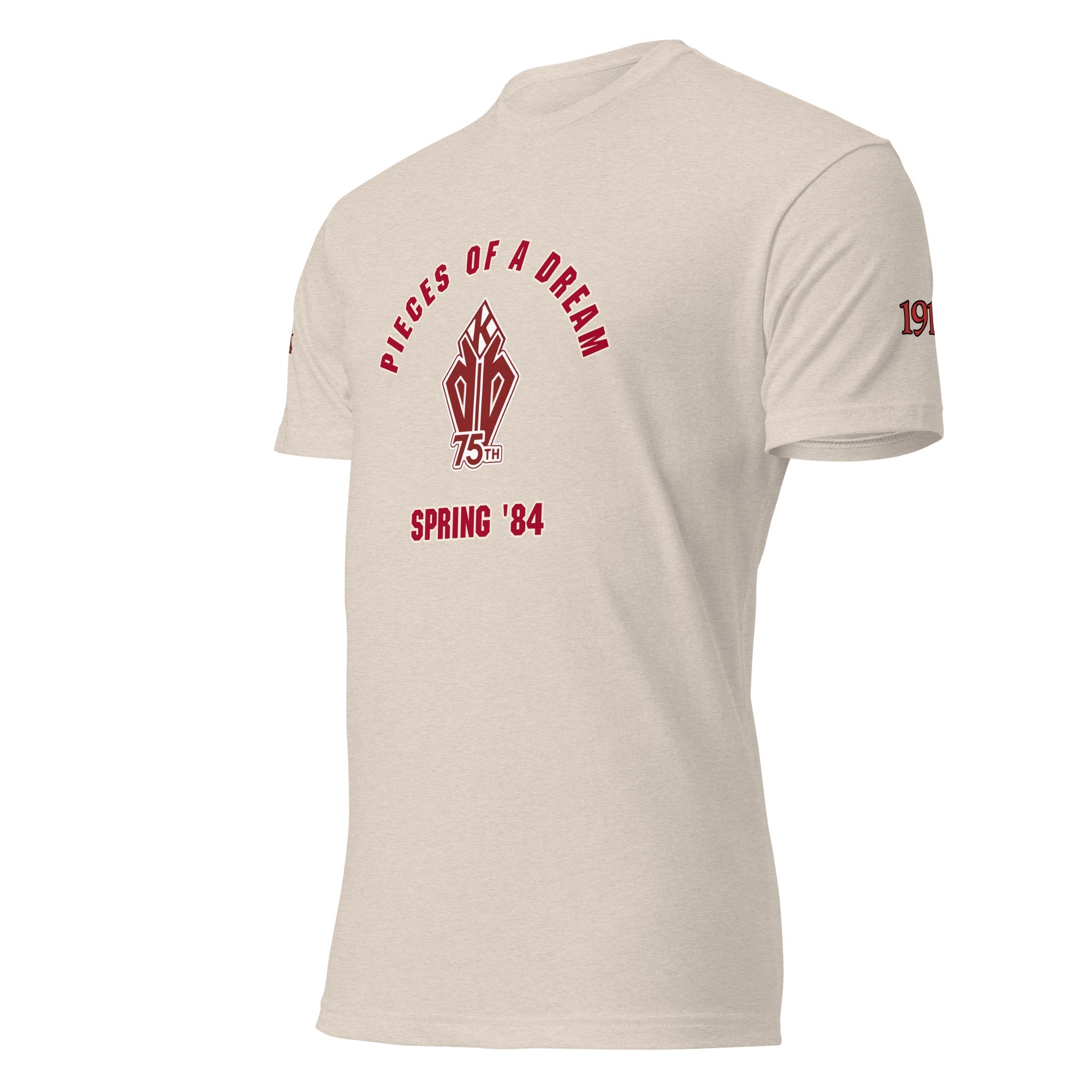 DREAM TEAM Fitted T-Shirt - Next Level 6210 - URBrand