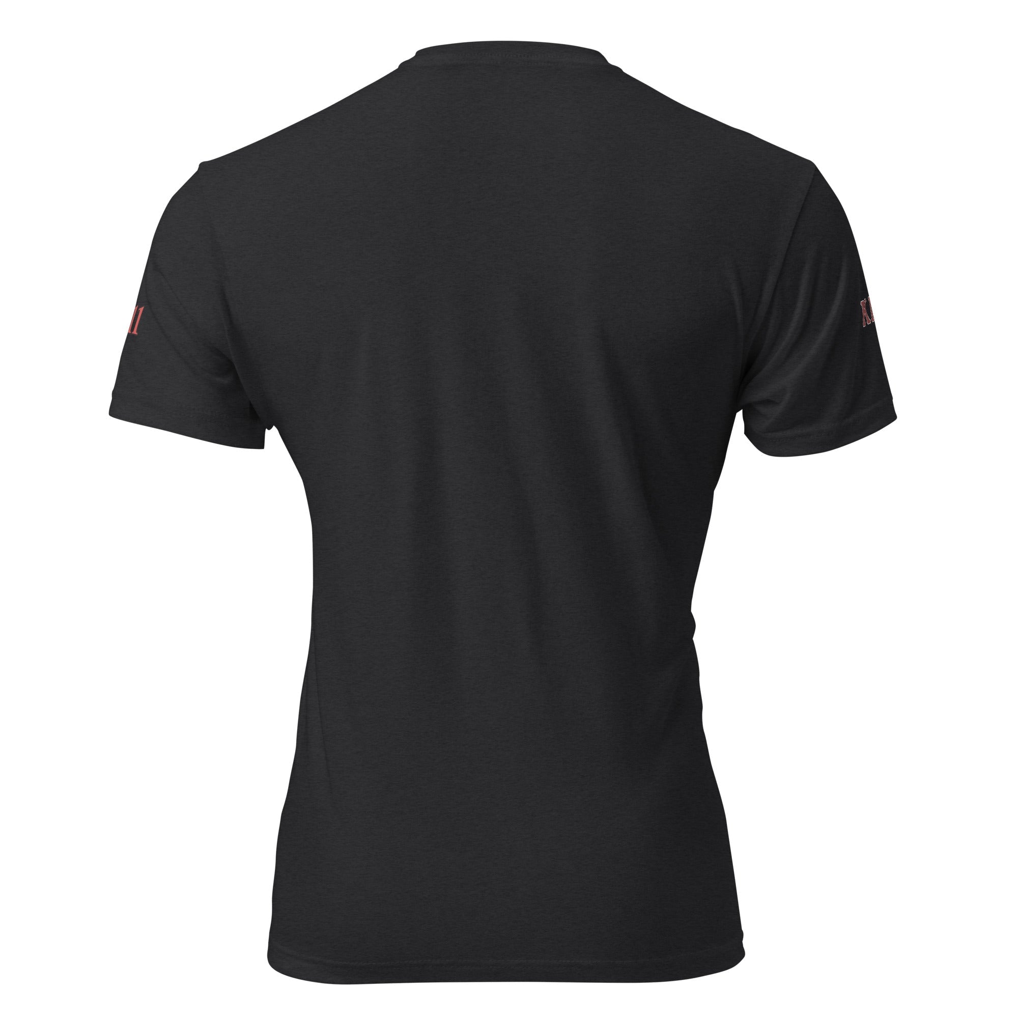 DREAM TEAM Fitted T-Shirt - Next Level 6210 - URBrand