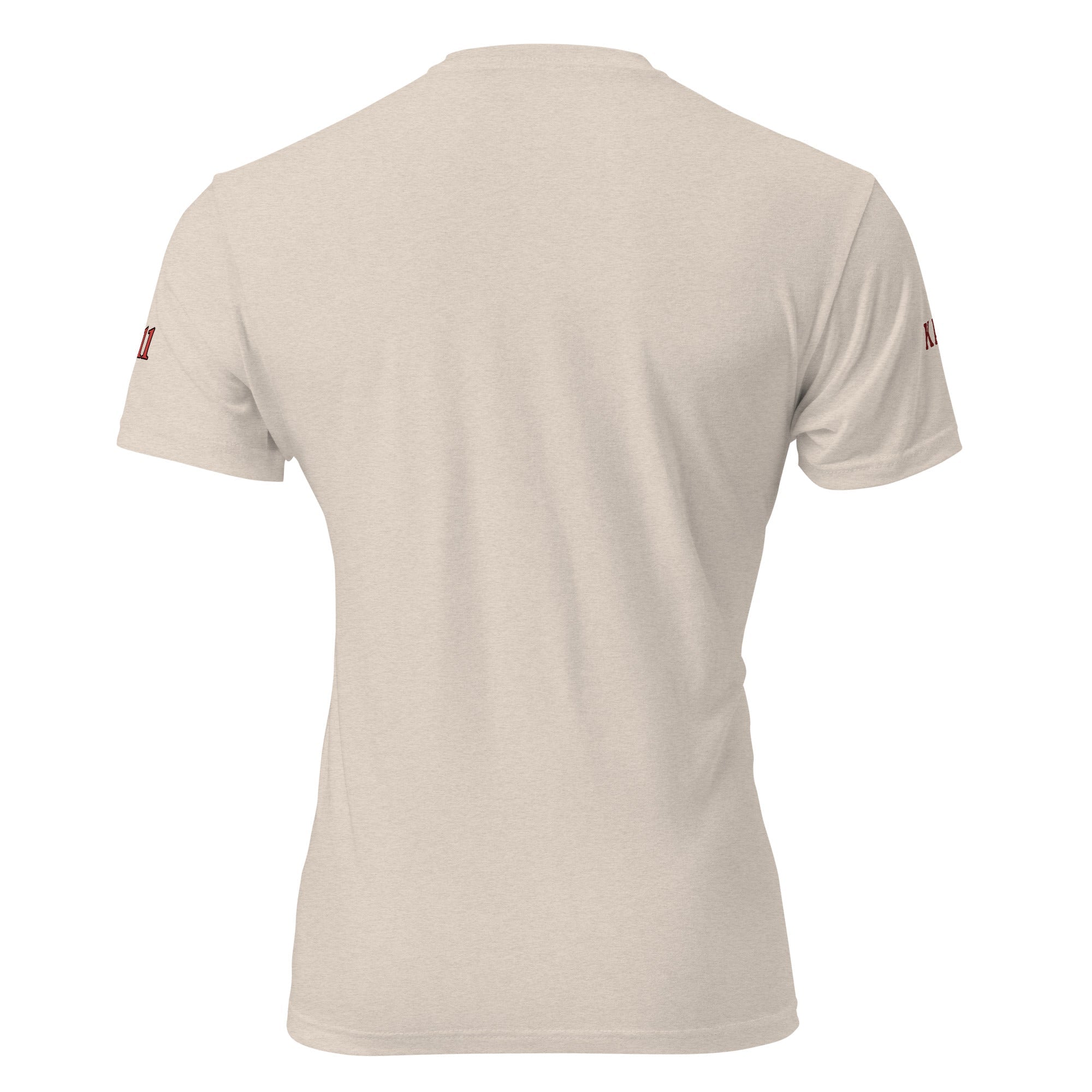 DREAM TEAM Fitted T-Shirt - Next Level 6210 - URBrand