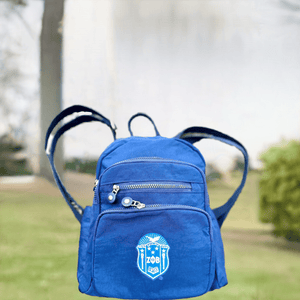 Zeta Phi Beta Bag - URBrand